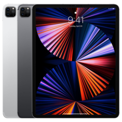 iPad Pro (12.9-inch, Cellular) (5th generation) IPSW iOS固件机型图