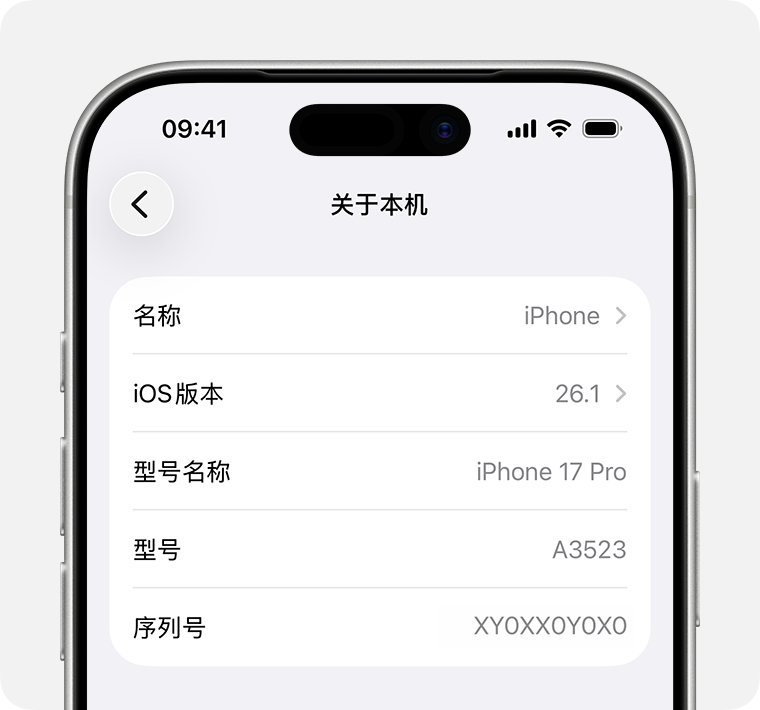 iPad 关于本机中的序列号