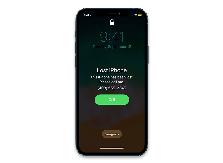 iPhone 12 Pro Max