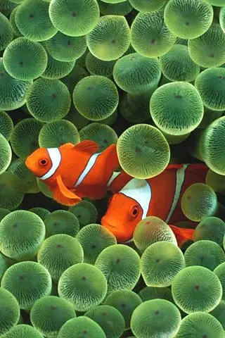 00
