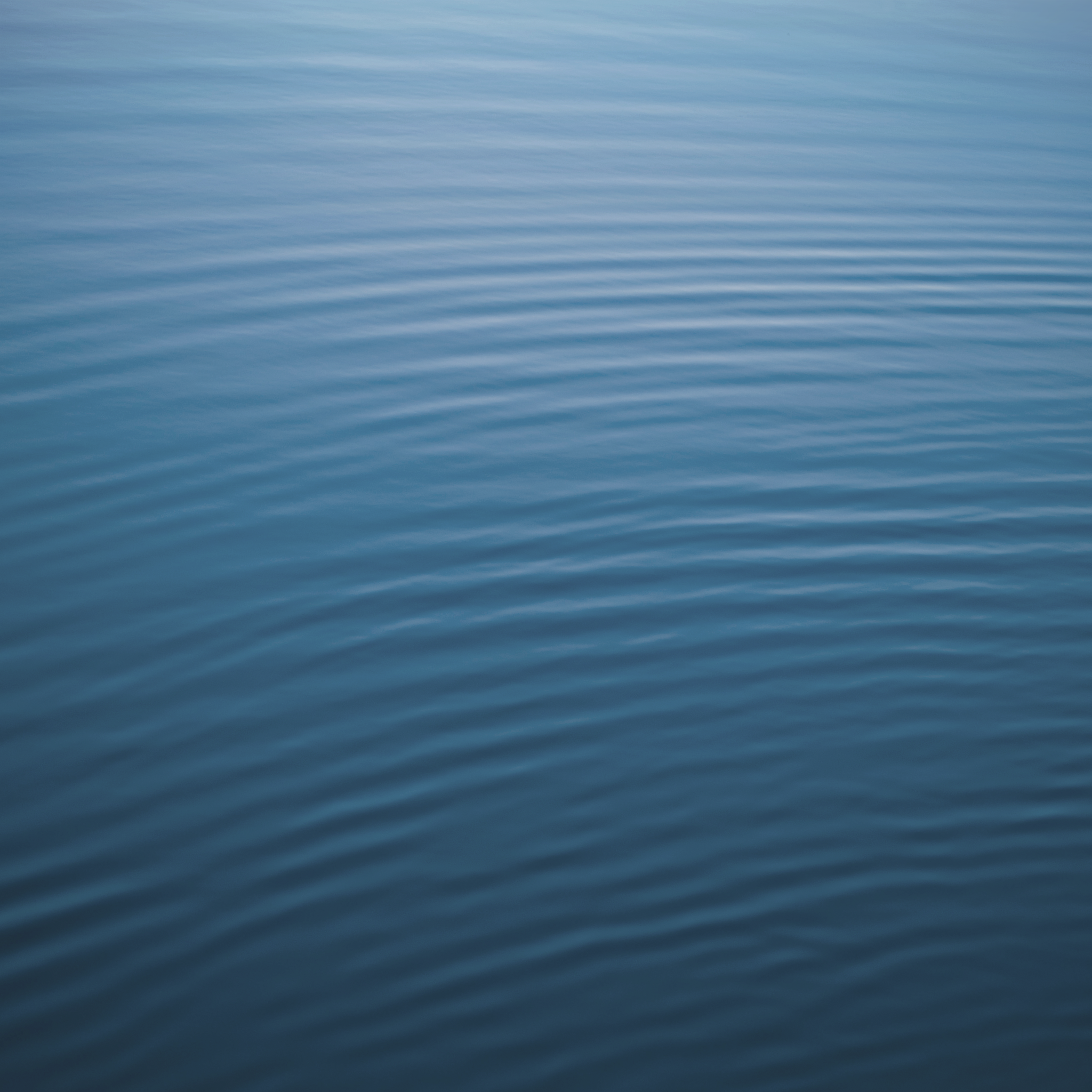 Wallpaper 1