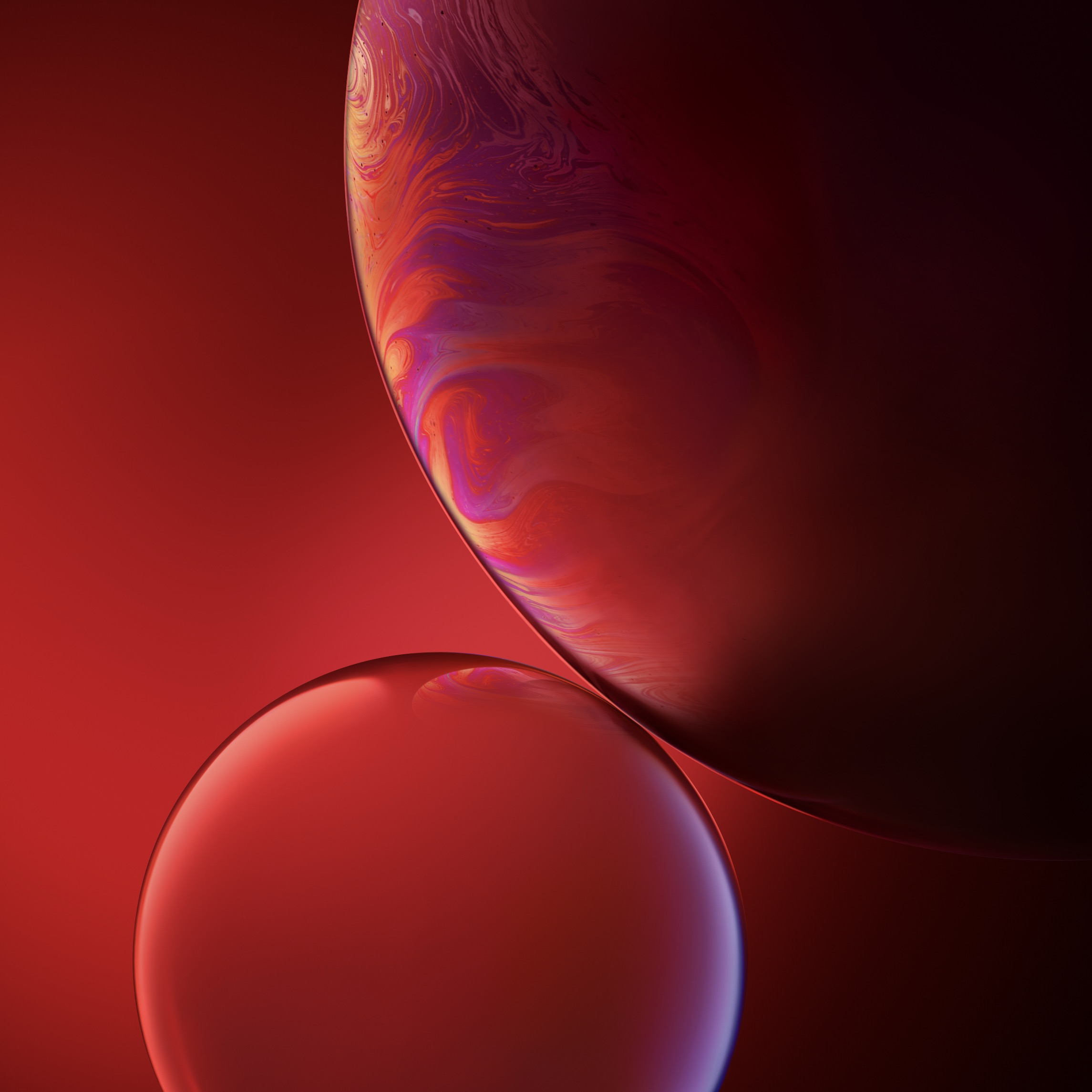 (PRODUCT) RED Double Bubble